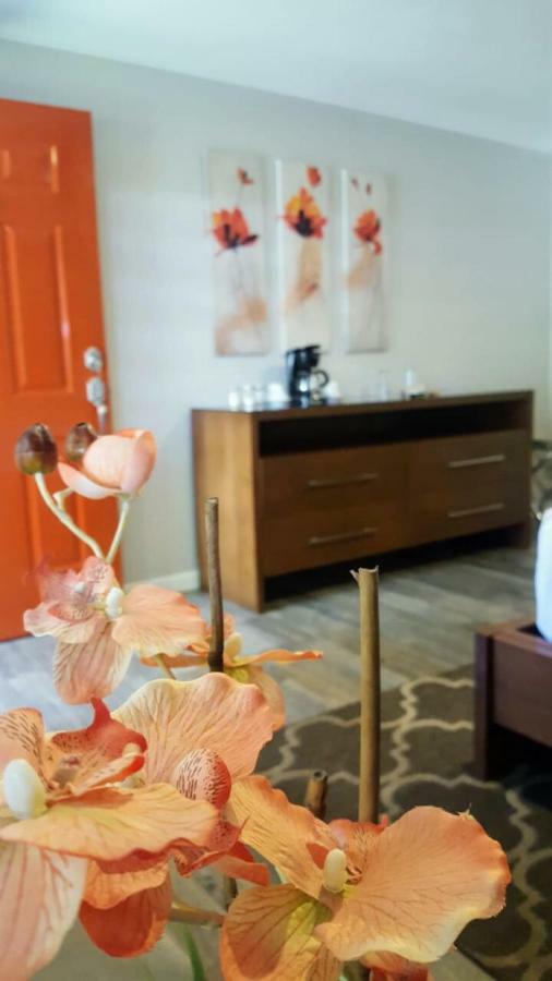 Quinta Arratz Hotel Villa de Juarez Buitenkant foto